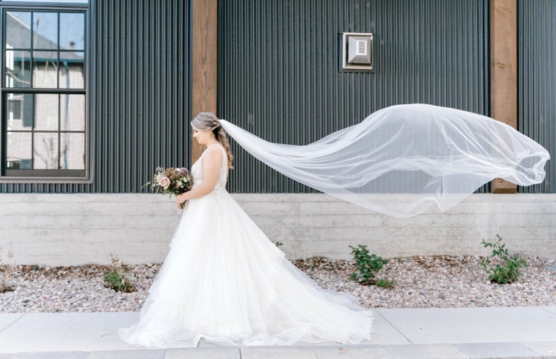 Image 125551652_205008694362488_3629933086384893787_n