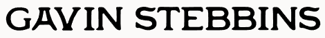 Image gavin-stebbins